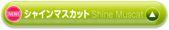 シャインマスカット