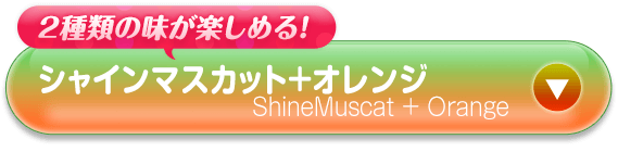 シャインマスカット＋オレンジ